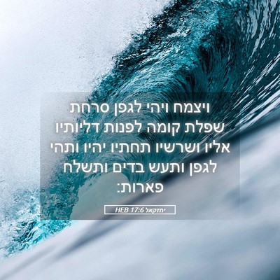 Picture 05 - יחזקאל 17:6 HEB - ויצמח ויהי לגפן סרחת שפלת - Bible Verse Picture