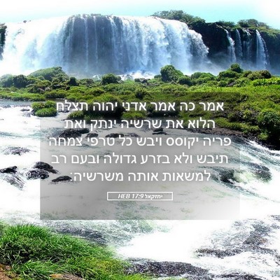 Picture 05 - יחזקאל 17:9 HEB - אמר כה אמר אדני יהוה תצלח - Bible Verse Picture