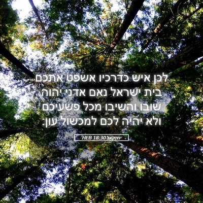 Picture 05 - יחזקאל 18:30 HEB - לכן איש כדרכיו אשפט אתכם - Bible Verse Picture