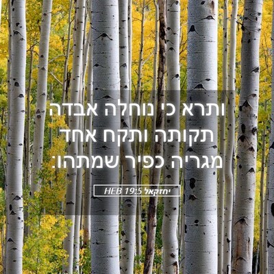 Picture 05 - יחזקאל 19:5 HEB - ותרא כי נוחלה אבדה תקותה - Bible Verse Picture