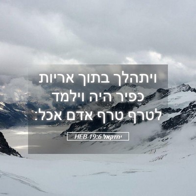 Picture 05 - יחזקאל 19:6 HEB - ויתהלך בתוך אריות כפיר היה - Bible Verse Picture