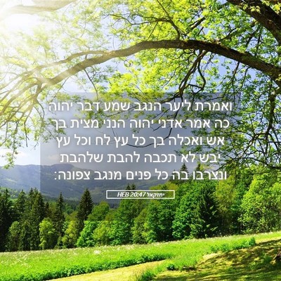 Picture 05 - יחזקאל 20:47 HEB - ואמרת ליער הנגב שמע דבר - Bible Verse Picture