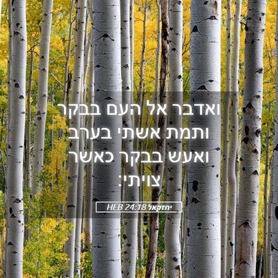 Picture 05 - יחזקאל 24:18 HEB - ואדבר אל העם בבקר ותמת אשתי - Bible Verse Picture