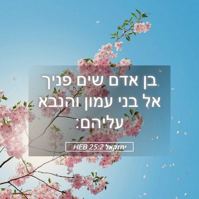 Picture 05 - יחזקאל 25:2 HEB - בן אדם שים פניך אל בני עמון - Bible Verse Picture