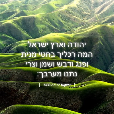 Picture 05 - יחזקאל 27:17 HEB - יהודה וארץ ישראל המה רכליך - Bible Verse Picture