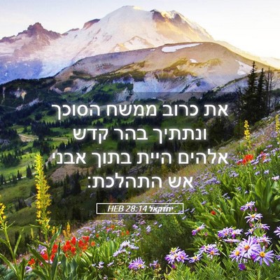 Picture 05 - יחזקאל 28:14 HEB - את כרוב ממשח הסוכך ונתתיך - Bible Verse Picture