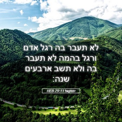 Picture 05 - יחזקאל 29:11 HEB - לא תעבר בה רגל אדם ורגל - Bible Verse Picture