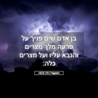 Picture 05 - יחזקאל 29:2 HEB - בן אדם שים פניך על פרעה מלך - Bible Verse Picture