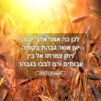 Picture 05 - יחזקאל 31:10 HEB - לכן כה אמר אדני יהוה יען - Bible Verse Picture