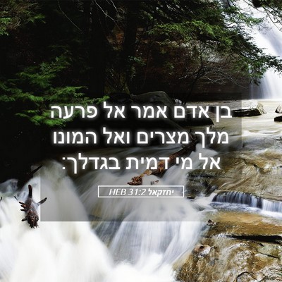 Picture 05 - יחזקאל 31:2 HEB - בן אדם אמר אל פרעה מלך - Bible Verse Picture