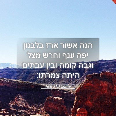 Picture 05 - יחזקאל 31:3 HEB - הנה אשור ארז בלבנון יפה ענף - Bible Verse Picture