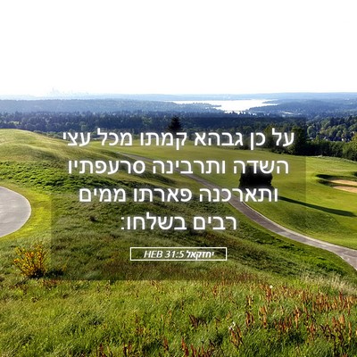 Picture 05 - יחזקאל 31:5 HEB - על כן גבהא קמתו מכל עצי - Bible Verse Picture