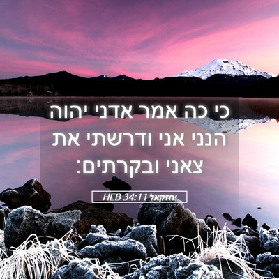 Picture 05 - יחזקאל 34:11 HEB - כי כה אמר אדני יהוה הנני - Bible Verse Picture