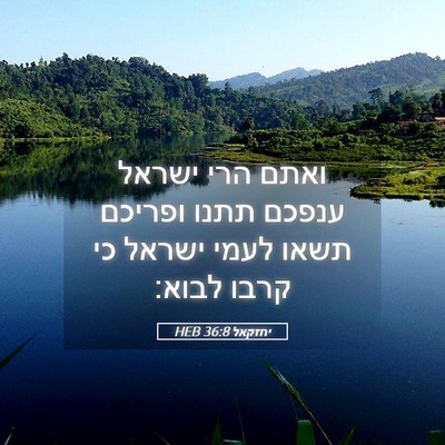 Picture 05 - יחזקאל 36:8 HEB - ואתם הרי ישראל ענפכם תתנו - Bible Verse Picture