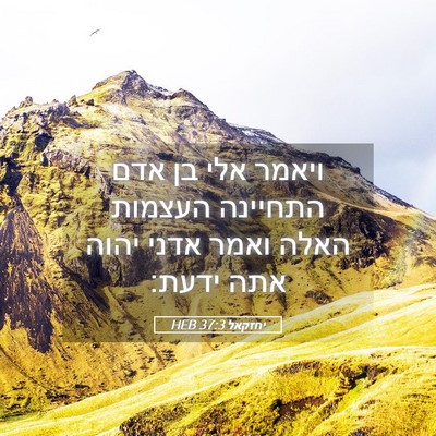 Picture 05 - יחזקאל 37:3 HEB - ויאמר אלי בן אדם התחיינה - Bible Verse Picture