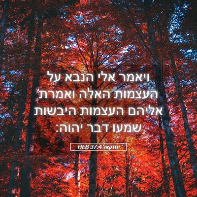 Picture 05 - יחזקאל 37:4 HEB - ויאמר אלי הנבא על העצמות - Bible Verse Picture