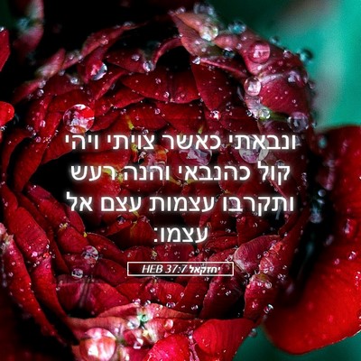 Picture 05 - יחזקאל 37:7 HEB - ונבאתי כאשר צויתי ויהי קול - Bible Verse Picture