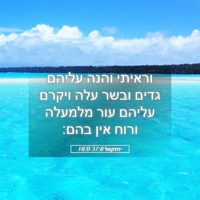 Picture 05 - יחזקאל 37:8 HEB - וראיתי והנה עליהם גדים - Bible Verse Picture