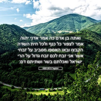 Picture 05 - יחזקאל 39:17 HEB - ואתה בן אדם כה אמר אדני - Bible Verse Picture