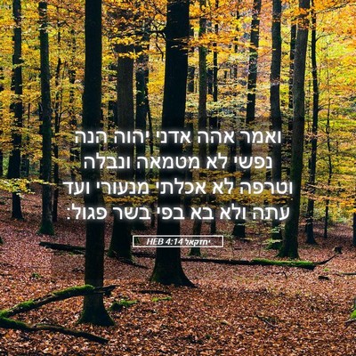 Picture 05 - יחזקאל 4:14 HEB - ואמר אהה אדני יהוה הנה נפשי - Bible Verse Picture