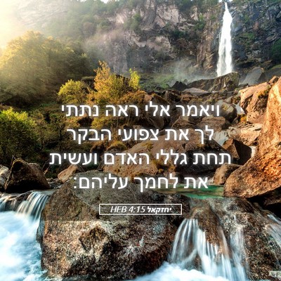 Picture 05 - יחזקאל 4:15 HEB - ויאמר אלי ראה נתתי לך את - Bible Verse Picture