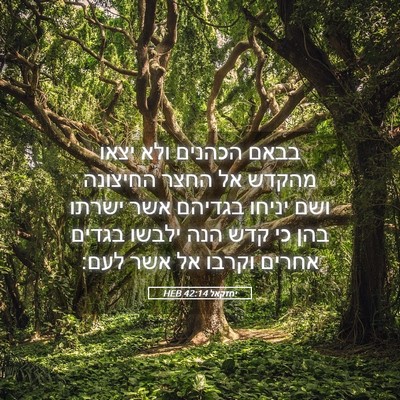 Picture 05 - יחזקאל 42:14 HEB - בבאם הכהנים ולא יצאו מהקדש - Bible Verse Picture