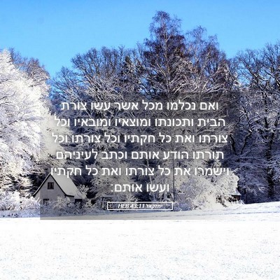 Picture 05 - יחזקאל 43:11 HEB - ואם נכלמו מכל אשר עשו צורת - Bible Verse Picture