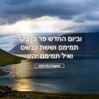 Picture 05 - יחזקאל 46:6 HEB - וביום החדש פר בן בקר תמימם - Bible Verse Picture