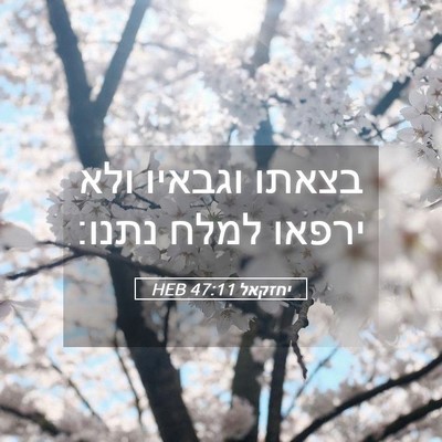 Picture 05 - יחזקאל 47:11 HEB - בצאתו וגבאיו ולא ירפאו - Bible Verse Picture