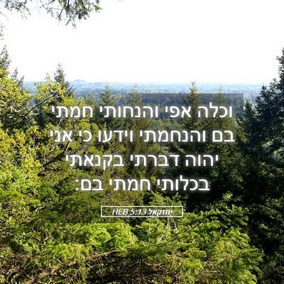 Picture 05 - יחזקאל 5:13 HEB - וכלה אפי והנחותי חמתי בם - Bible Verse Picture