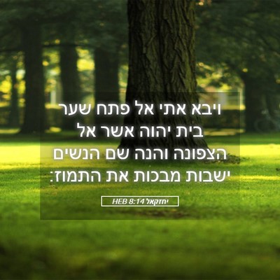 Picture 05 - יחזקאל 8:14 HEB - ויבא אתי אל פתח שער בית - Bible Verse Picture