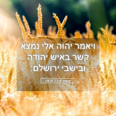 Picture 05 - ירמיה 11:9 HEB - ויאמר יהוה אלי נמצא קשר - Bible Verse Picture