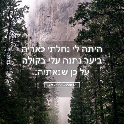 Picture 05 - ירמיה 12:8 HEB - היתה לי נחלתי כאריה ביער - Bible Verse Picture