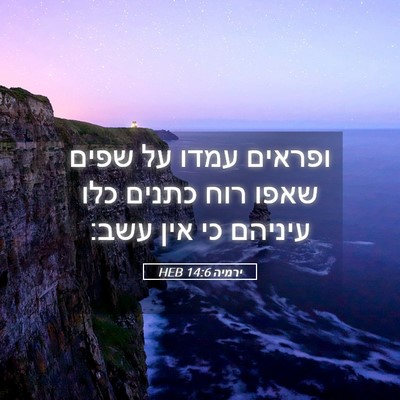Picture 05 - ירמיה 14:6 HEB - ופראים עמדו על שפים שאפו - Bible Verse Picture