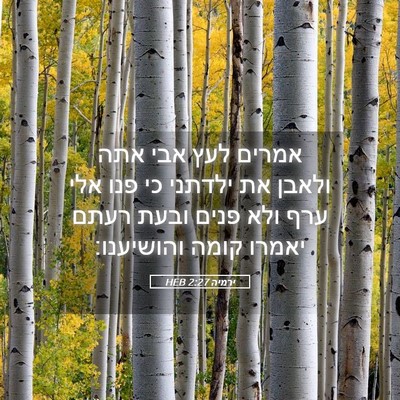 Picture 05 - ירמיה 2:27 HEB - אמרים לעץ אבי אתה ולאבן את - Bible Verse Picture