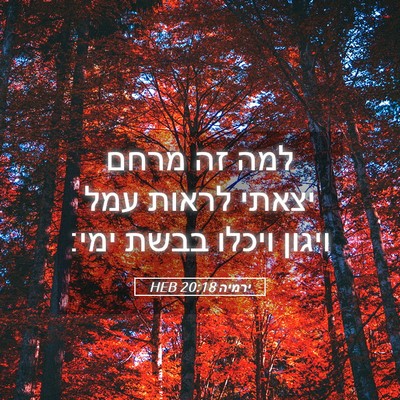 Picture 05 - ירמיה 20:18 HEB - למה זה מרחם יצאתי לראות עמל - Bible Verse Picture