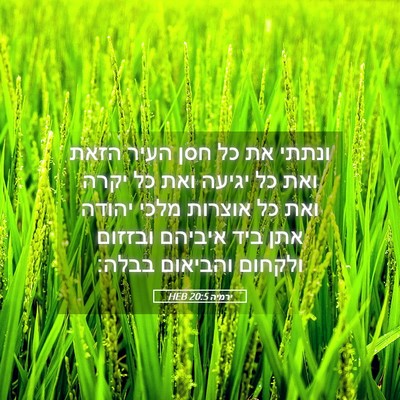 Picture 05 - ירמיה 20:5 HEB - ונתתי את כל חסן העיר הזאת - Bible Verse Picture