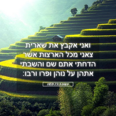 Picture 05 - ירמיה 23:3 HEB - ואני אקבץ את שארית צאני מכל - Bible Verse Picture