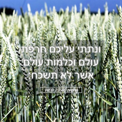 Picture 05 - ירמיה 23:40 HEB - ונתתי עליכם חרפת עולם - Bible Verse Picture