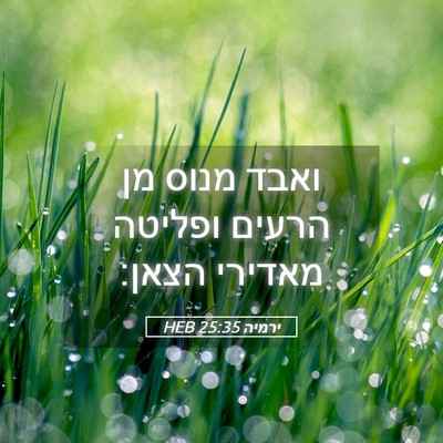 Picture 05 - ירמיה 25:35 HEB - ואבד מנוס מן הרעים ופליטה - Bible Verse Picture