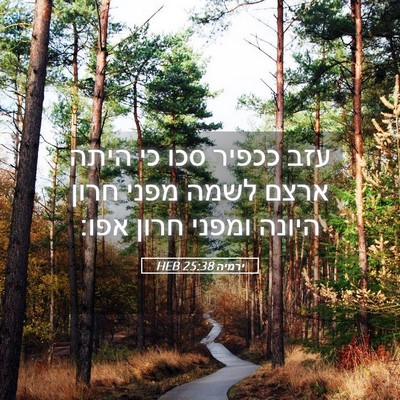 Picture 05 - ירמיה 25:38 HEB - עזב ככפיר סכו כי היתה ארצם - Bible Verse Picture