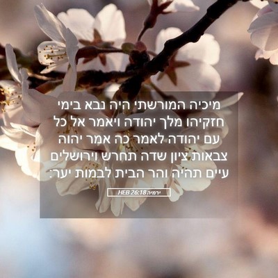 Picture 05 - ירמיה 26:18 HEB - מיכיה המורשתי היה נבא בימי - Bible Verse Picture