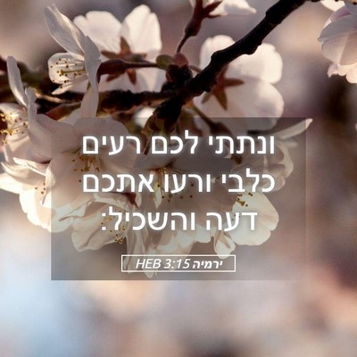 Picture 05 - ירמיה 3:15 HEB - ונתתי לכם רעים כלבי ורעו - Bible Verse Picture