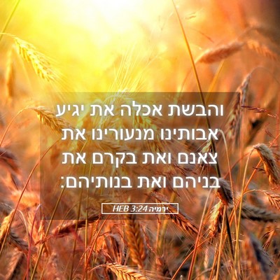 Picture 05 - ירמיה 3:24 HEB - והבשת אכלה את יגיע אבותינו - Bible Verse Picture