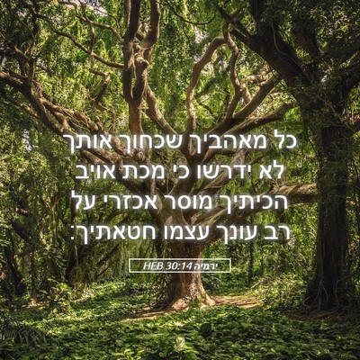 Picture 05 - ירמיה 30:14 HEB - כל מאהביך שכחוך אותך לא - Bible Verse Picture