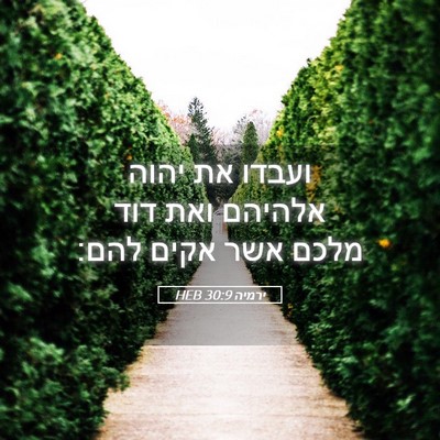 Picture 05 - ירמיה 30:9 HEB - ועבדו את יהוה אלהיהם ואת - Bible Verse Picture
