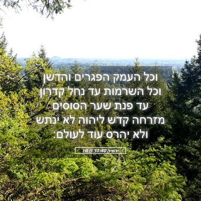 Picture 05 - ירמיה 31:40 HEB - וכל העמק הפגרים והדשן וכל - Bible Verse Picture