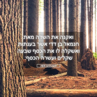 Picture 05 - ירמיה 32:9 HEB - ואקנה את השדה מאת חנמאל בן - Bible Verse Picture