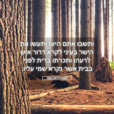 Picture 05 - ירמיה 34:15 HEB - ותשבו אתם היום ותעשו את - Bible Verse Picture