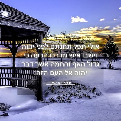Picture 05 - ירמיה 36:7 HEB - אולי תפל תחנתם לפני יהוה - Bible Verse Picture